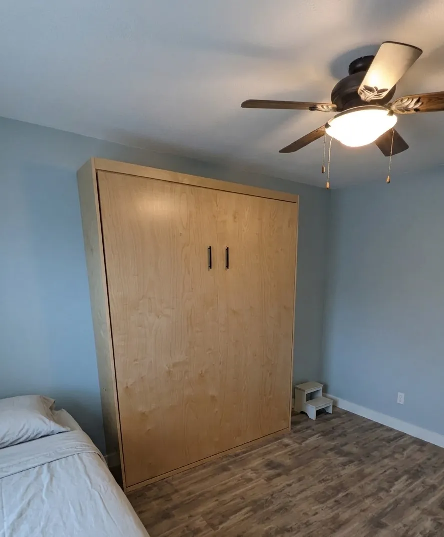Photo of a closed Murphy bed